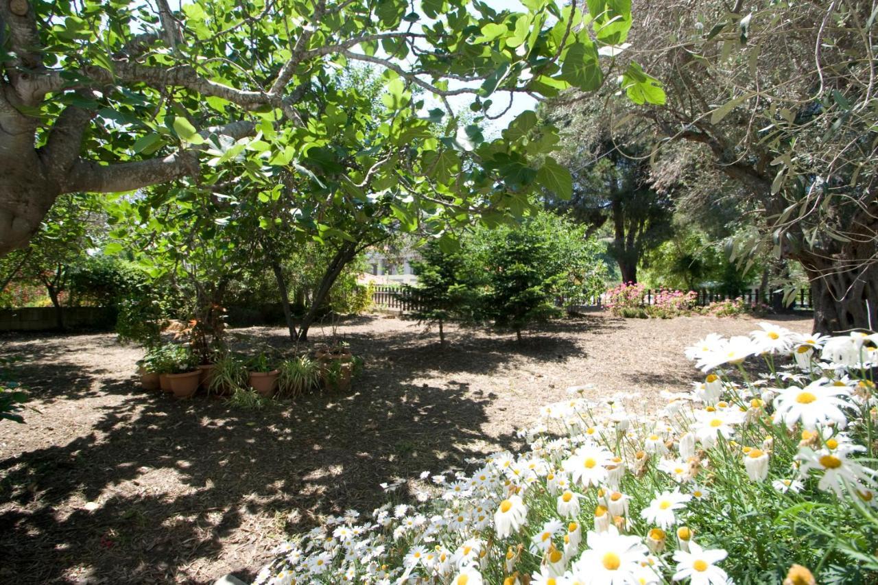 Villas Alexandra Skiathos Platanias  Exterior photo
