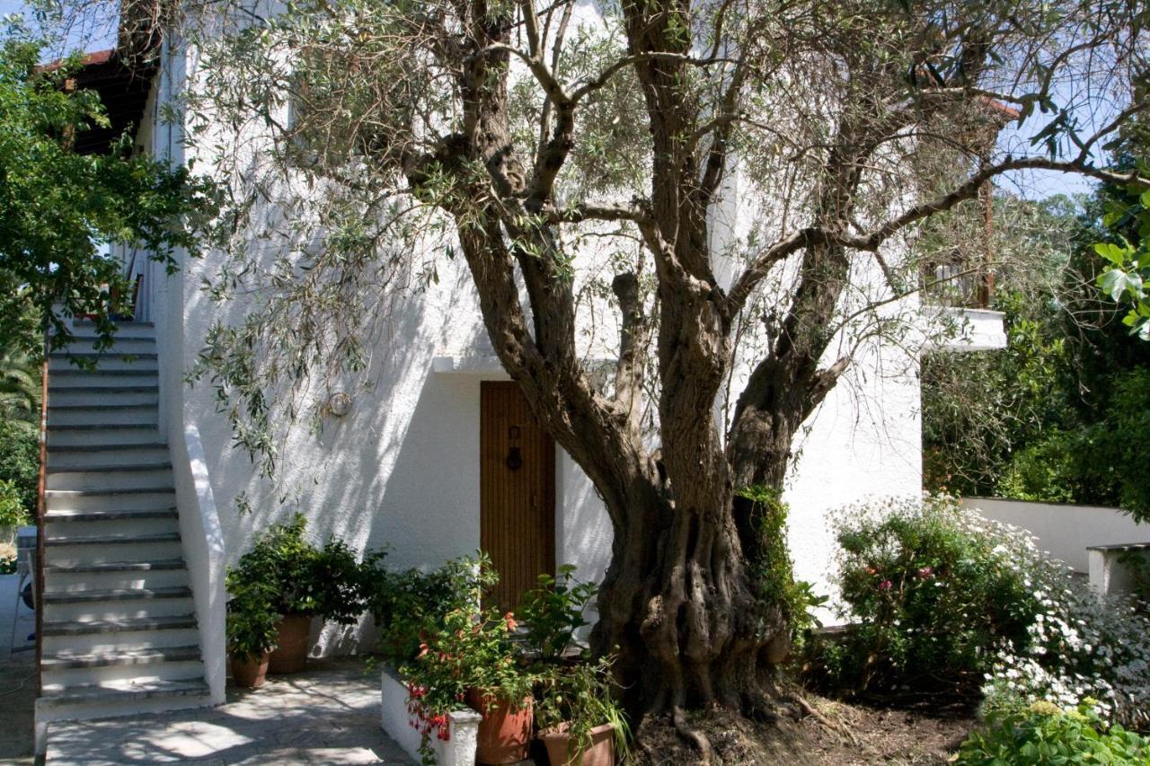 Villas Alexandra Skiathos Platanias  Exterior photo